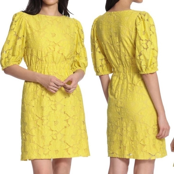 Nwt Maggy London Buttercup lace dress Size 6 - ice4pros.com.br